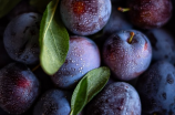 蓝莓素(蓝莓素的功效及食用方法)